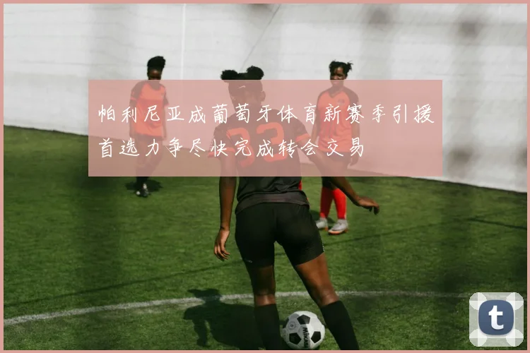 帕利尼亚成葡萄牙体育新赛季引援首选力争尽快完成转会交易