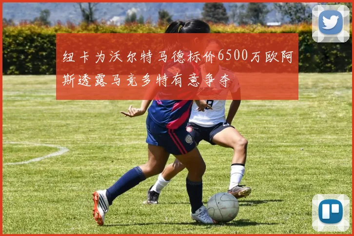 纽卡为沃尔特马德标价6500万欧阿斯透露马竞多特有意争夺