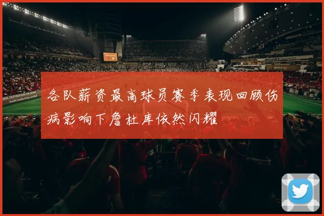 各队薪资最高球员赛季表现回顾伤病影响下詹杜库依然闪耀